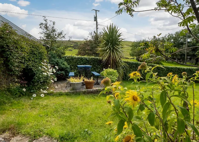 بيت للعطل The