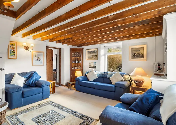 The * رينفيلي